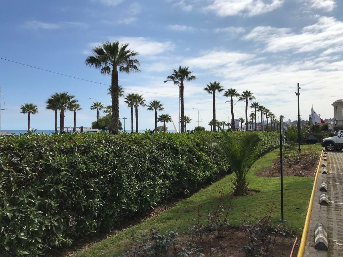 Depa Torre Juan Fernandez Apartament Vina del Mar Zewnętrze zdjęcie